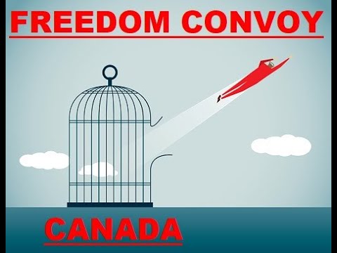 LIVE Truckers Convey Ottawa, Canada FREEDOM CONVOY! Night 15