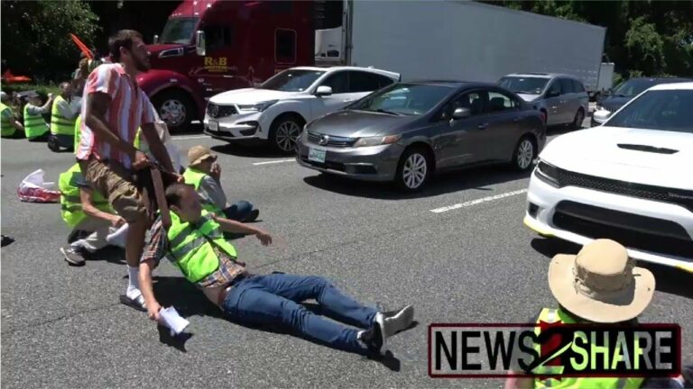 Furious American drags away climate activists blocking his path to work on busy highway