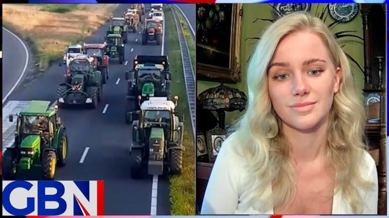 Dutch farmers protest: 'They're stealing Dutch farmers' land' | Eva Vaardingerbroek
