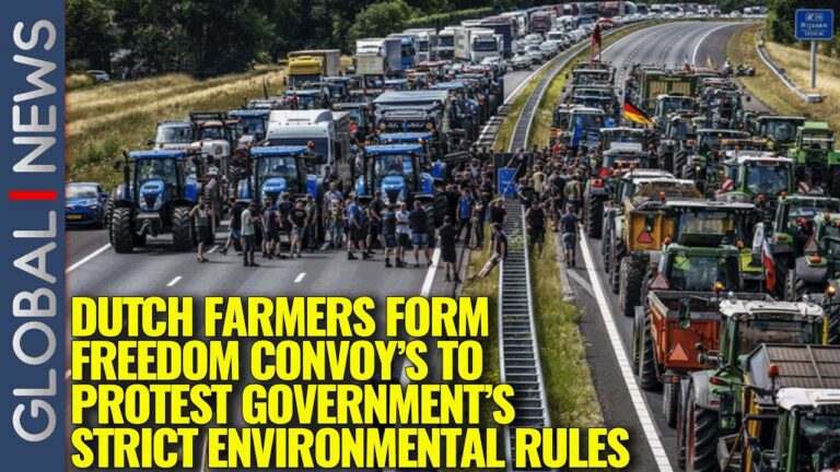 Dutch farmers form 'freedom convoys' to protest government's strict environmental rules