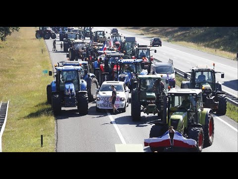 Dutch Farmer Protest Hypocrisy