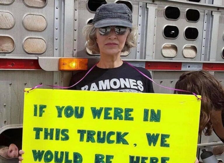 $5M lawsuit filed against trucker who struck animal rights activist