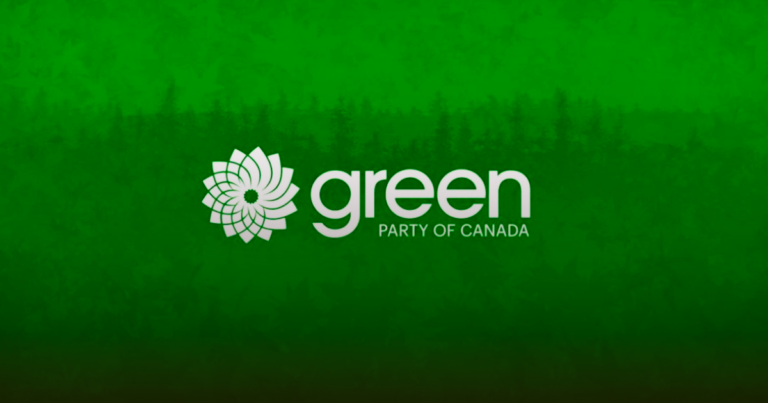 A look at the contenders in the running for the Green Party leadership